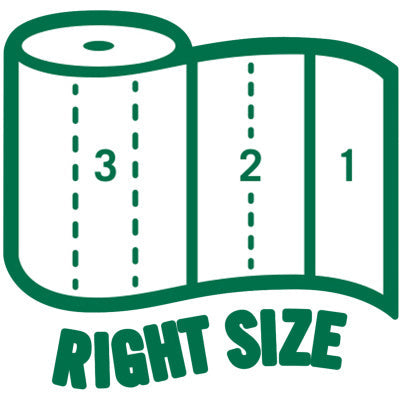 Seventh Generation 100% Recycled Paper Towels (SEV13739PK)
